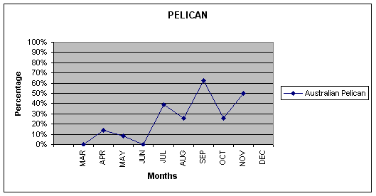 Pelican graph shows the percentage of sightings for each monthly trip
